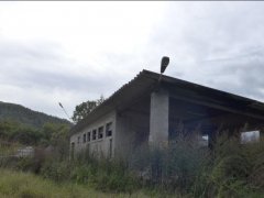 Complesso zootecnico e area cortiliva a Castelnovo ne' Monti - 2