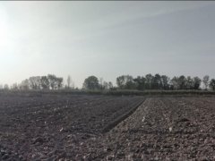 Terreni in Gualtieri (RE) - 3