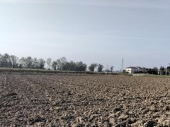 Terreni in Gualtieri (RE) - 1